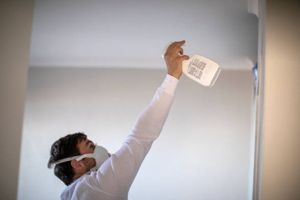 Best Industrial Mold Remediation in Sheffield, IA